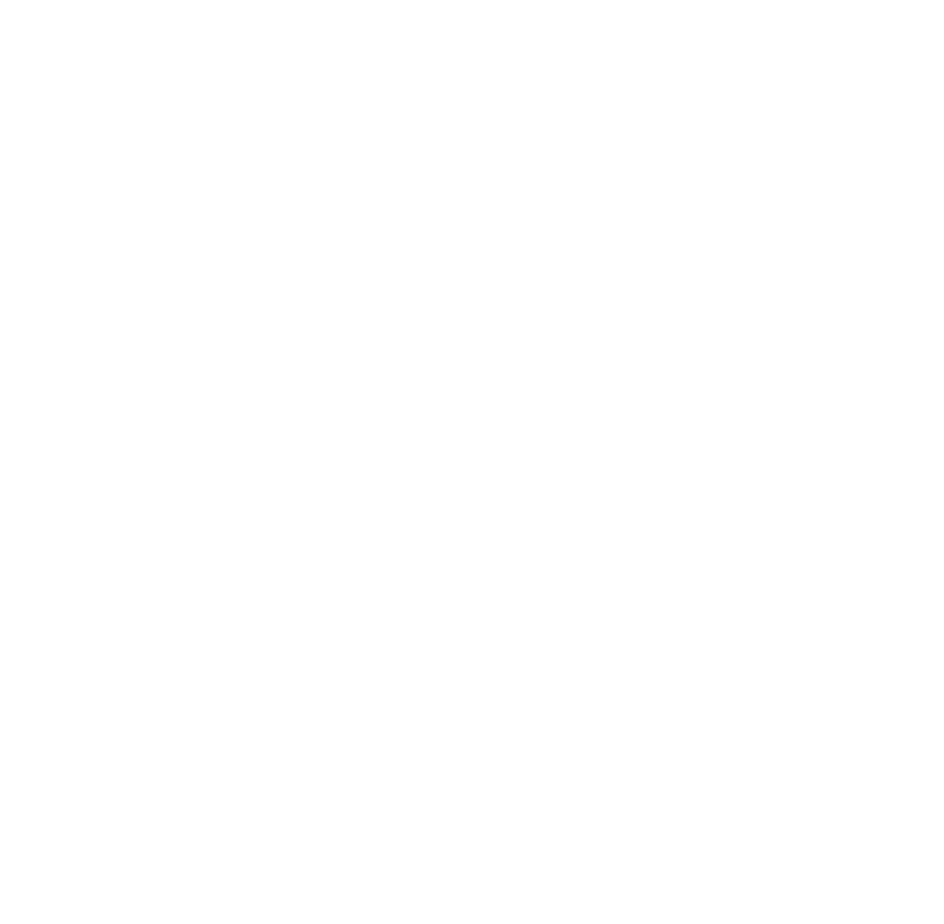 White Roamtech Solutions logo